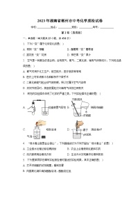 2023年湖南省郴州市中考化学质检试卷（含解析）