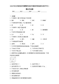 2023年江苏省南京市栖霞区南京外国语学校仙林分校中考三模化学试题(含答案)