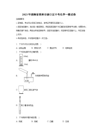 2023年湖南省株洲市渌口区中考化学一模试卷-普通用卷