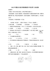 2023年重庆市育才教育集团中考化学三诊试卷