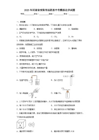 2023年河南省安阳市汤阴县中考模拟化学试题（含解析）