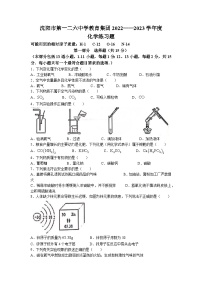 2023年辽宁省沈阳市第一二六中学教育集团z中考三模化学试题(无答案)