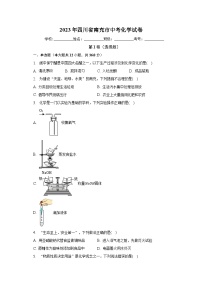 2023年四川省南充市中考化学试卷（含解析）