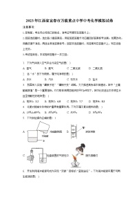 2023年江西省宜春市万载重点中学中考化学模拟试卷（含解析）