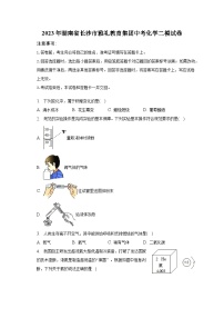 2023年湖南省长沙市雅礼教育集团中考化学二模试卷（含解析）