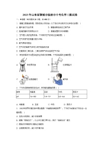 2023年山东省聊城市临清市中考化学三模试卷（含解析）