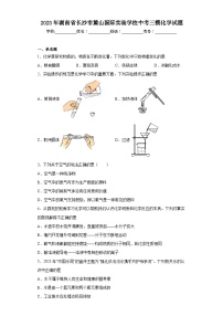 2023年湖南省长沙市麓山国际实验学校中考三模化学试题(含答案)