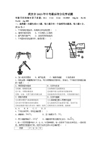 2023湖北省武汉市中考新动力夺分卷化学试题