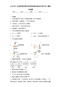 2023年广东省深圳市福田区深圳实验学校初中部中考三模化学试题(含答案)