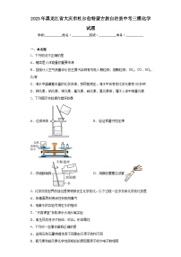 2023年黑龙江省大庆市杜尔伯特蒙古族自治县中考三模化学试题(含答案)