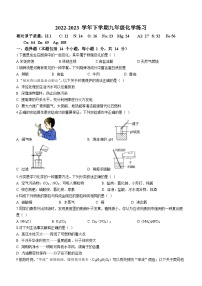 2023年河南省郑州市外国语中学中考二模化学试题