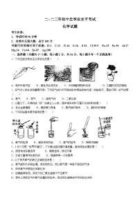 2023年黑龙江省鸡西市虎林市实验中学中考二模化学试题