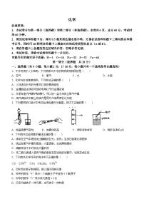 2023年陕西省渭南市大荔县中考三模化学试题(含答案)