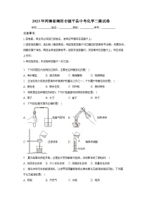 2023年河南省南阳市镇平县中考化学二模试卷（含解析）