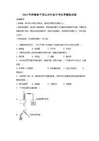 2023年河南省平顶山市叶县中考化学模拟试卷（含解析）