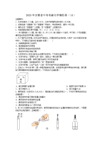 2023年安徽省中考考前模拟化学试卷（11）及参考答案