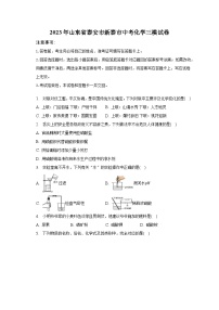 2023年山东省泰安市新泰市中考化学三模试卷（含解析）