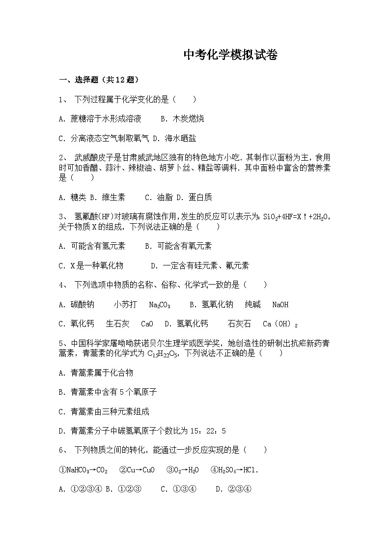 中考化学模拟试卷第1页