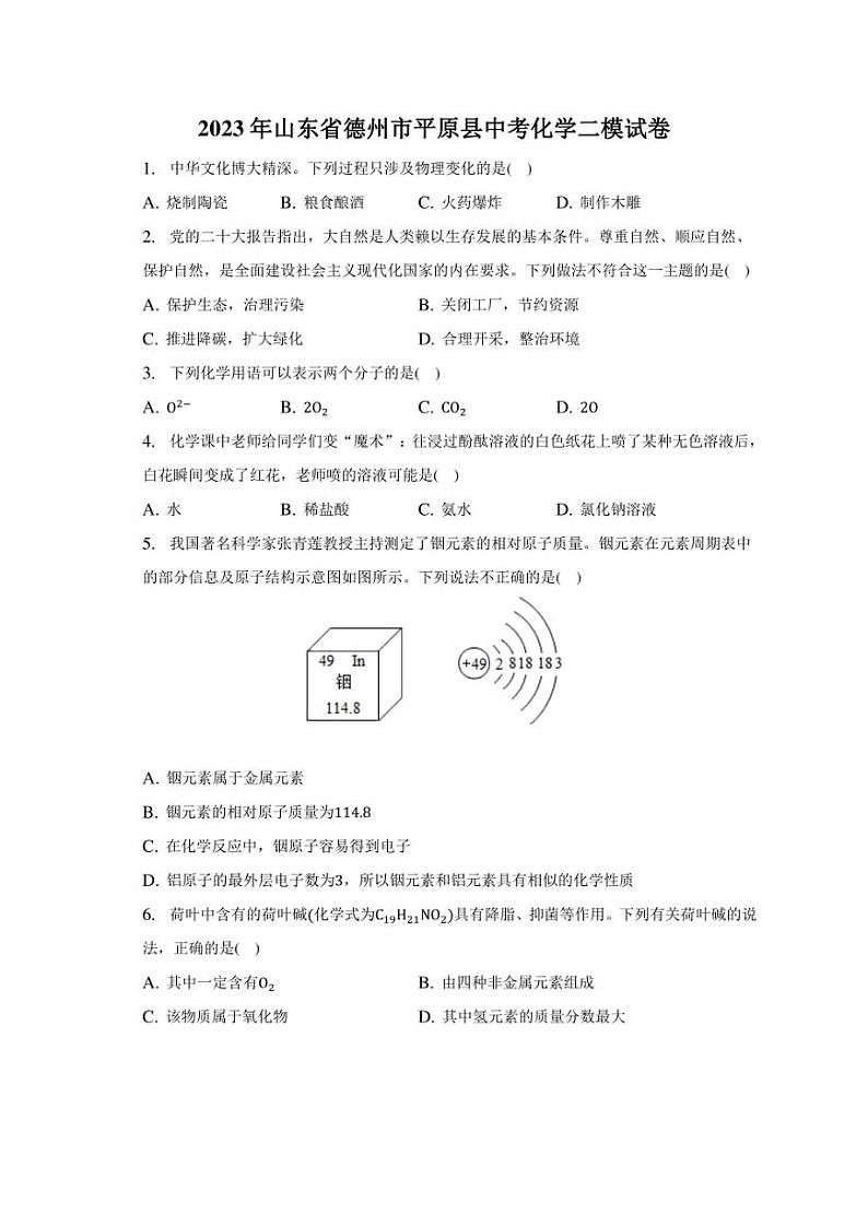 2023年山东省德州市平原县中考化学二模试卷01