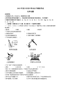 山东省烟台市龙口市2022-2023学年九年级下学期期中化学试题(无答案)