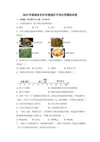 2023年湖南省长沙市望城区中考化学模拟试卷（含解析）