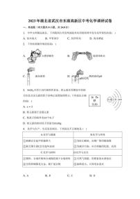 2023年湖北省武汉市东湖高新区中考化学调研试卷（含解析）