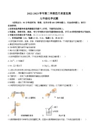 2023年4月广东省深圳市南山第二外国语学校中考二模化学试题