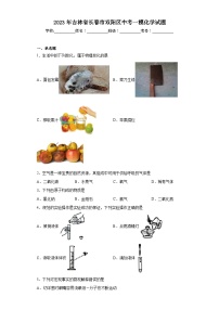 2023年吉林省长春市双阳区中考一模化学试题（含解析）