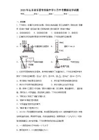 2023年山东省东营市实验中学5月中考模拟化学试题（含解析）