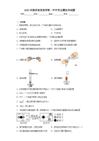 2023年陕西省西安市铁一中中考五模化学试题（含解析）