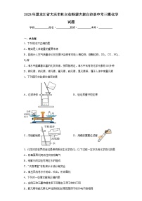 2023年黑龙江省大庆市杜尔伯特蒙古族自治县中考三模化学试题（含解析）