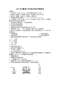 2023年安徽省中考考前冲刺化学模拟卷及参考答案