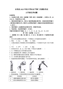 2023年陕西省渭南市合阳县中考二模化学试题及参考答案