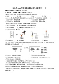 2023年甘肃省定西市临洮县中考一模化学试题（含答案）