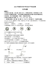 2023年湖南省岳阳市中考化学真题