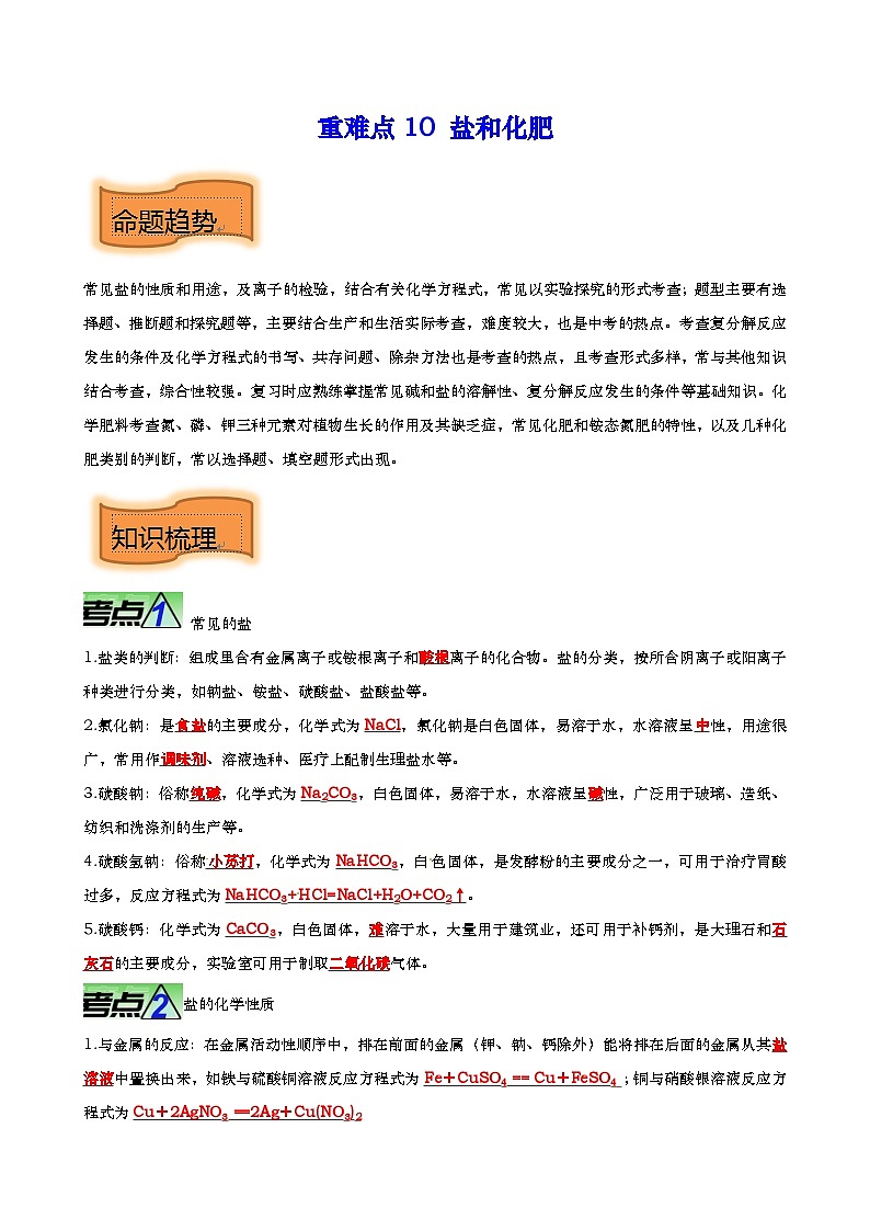 重难点10 盐和化肥-2023年中考化学【热点 重点 难点】专练（解析版）第1页