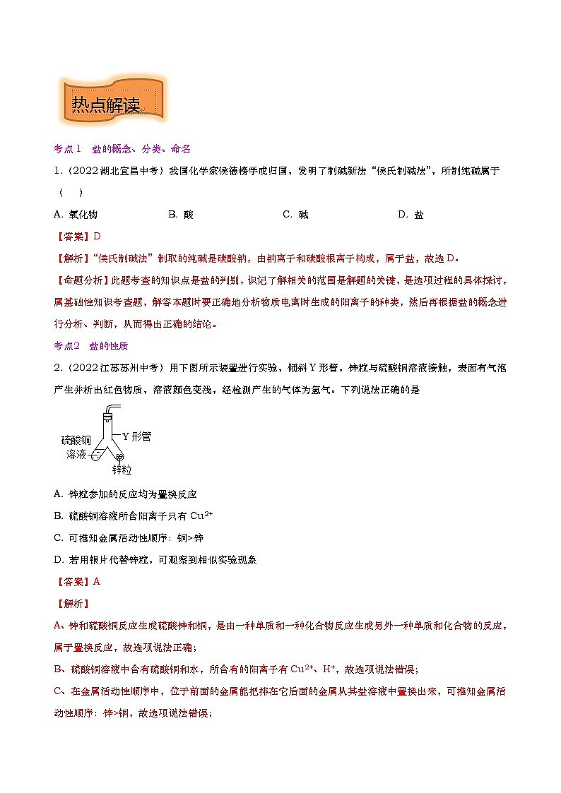 重难点10 盐和化肥-2023年中考化学【热点 重点 难点】专练（解析版）第3页