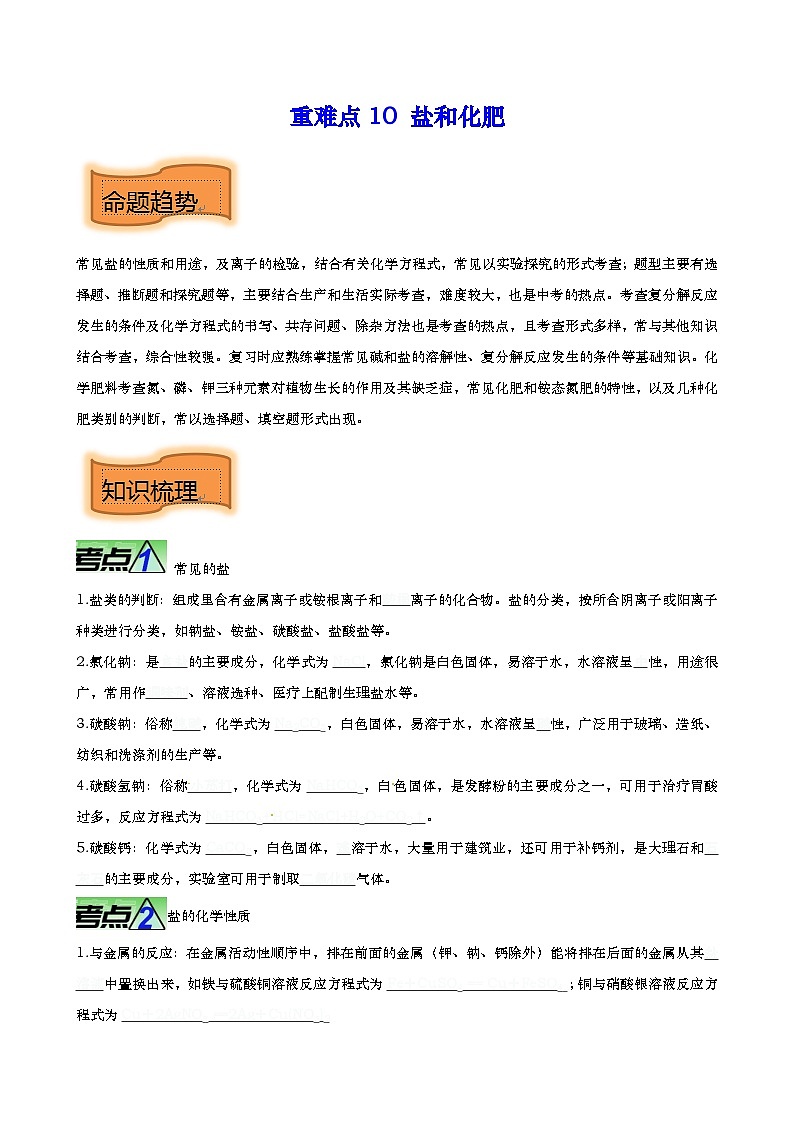 重难点10 盐和化肥-2023年中考化学【热点 重点 难点】专练（原卷版）第1页