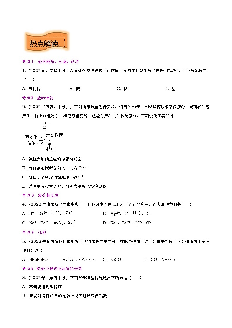 重难点10 盐和化肥-2023年中考化学【热点 重点 难点】专练（原卷版）第3页