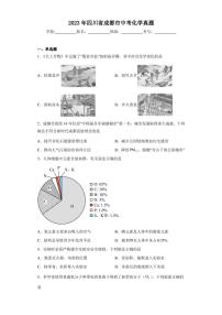 2023年四川省成都市中考化学真题(含答案)