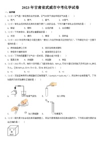 2023年甘肃省武威市中考化学试卷【含答案】