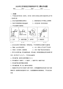 2023年江苏省宿迁市泗洪县中考三模化学试题（含解析）