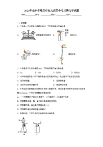 2023年山东省枣庄市台儿庄区中考三调化学试题（含解析）