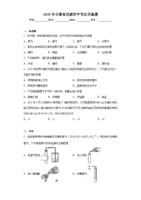 2023年甘肃省武威市中考化学真题（无答案）