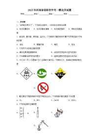 2023年河南省洛阳市中考一模化学试题（含解析）