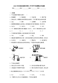 2023年河南省南阳市第三中学中考四模化学试题（含解析）