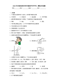 2023年河南省郑州市外国语中学中考二模化学试题（含解析）