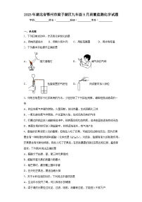 2023年湖北省鄂州市梁子湖区九年级5月质量监测化学试题（含解析）