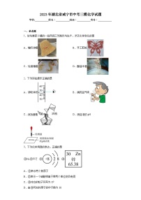2023年湖北省咸宁市中考三模化学试题（含答案）