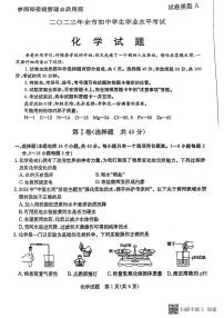 2023年山东省聊城市中考化学真题